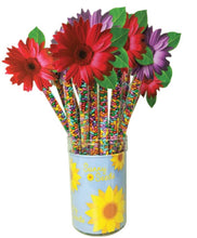 Load image into Gallery viewer, Daisy Topper Rainbow Sunny Seeds 4 oz (Pack of 4)
