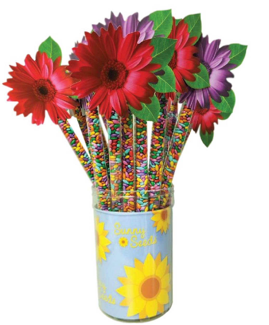 Daisy Topper Rainbow Sunny Seeds 4 oz (Pack of 4)