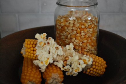 Farmer's Popcorn Cob