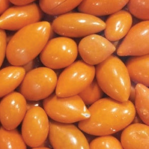 Orange Sunny Seeds Bulk